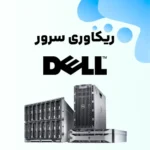 ریکاوری-سرور-دل